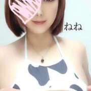 ヒメ日記 2025/08/09 17:18 投稿 ねね 人妻の楽園（博多）