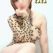 ヒメ日記 2025/11/07 17:46 投稿 ねね 人妻の楽園（博多）