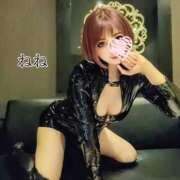 ヒメ日記 2025/11/30 12:26 投稿 ねね 人妻の楽園（博多）