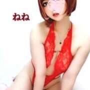 ヒメ日記 2025/12/14 12:16 投稿 ねね 人妻の楽園（博多）