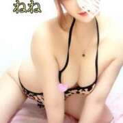 ヒメ日記 2026/01/12 09:46 投稿 ねね 人妻の楽園（博多）