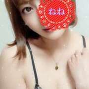 ヒメ日記 2026/01/15 20:46 投稿 ねね 人妻の楽園（博多）