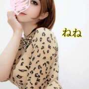 ヒメ日記 2026/01/18 09:16 投稿 ねね 人妻の楽園（博多）