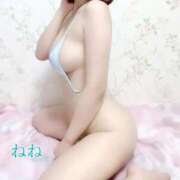 ヒメ日記 2026/03/01 15:46 投稿 ねね 人妻の楽園（博多）