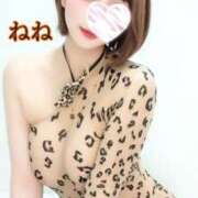ヒメ日記 2026/03/08 11:29 投稿 ねね 人妻の楽園（博多）