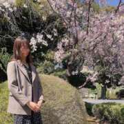 ヒメ日記 2025/04/11 19:02 投稿 つむぎ 五反田人妻ヒットパレード（シンデレラグループ）