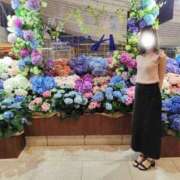 ヒメ日記 2025/06/24 19:41 投稿 つむぎ 五反田人妻ヒットパレード（シンデレラグループ）