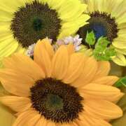 ヒメ日記 2025/07/23 09:32 投稿 双葉あき 美魔女エステ