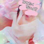 ヒメ日記 2024/12/15 15:45 投稿 りこ 激安ドットコム