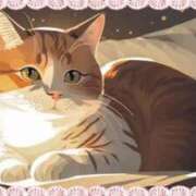 ヒメ日記 2024/12/27 11:17 投稿 りこ 激安ドットコム