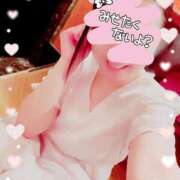 ヒメ日記 2025/01/31 15:43 投稿 りこ 激安ドットコム