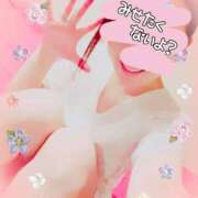 ヒメ日記 2025/02/08 07:51 投稿 りこ 激安ドットコム