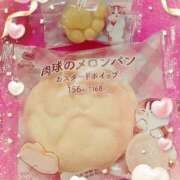 ヒメ日記 2025/02/20 08:37 投稿 りこ 激安ドットコム