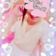 ヒメ日記 2025/02/20 09:20 投稿 りこ 激安ドットコム