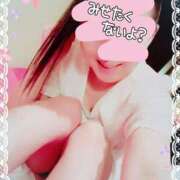 ヒメ日記 2025/04/02 18:14 投稿 りこ 激安ドットコム