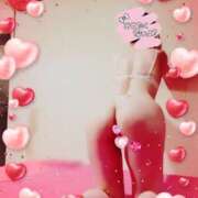 ヒメ日記 2025/04/11 15:36 投稿 りこ 激安ドットコム