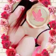 ヒメ日記 2025/04/21 22:12 投稿 りこ 激安ドットコム