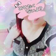 ヒメ日記 2025/05/03 08:14 投稿 りこ 激安ドットコム