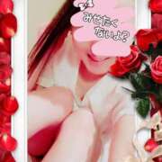 ヒメ日記 2025/05/15 07:57 投稿 りこ 激安ドットコム