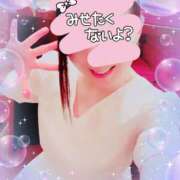 ヒメ日記 2025/05/15 16:33 投稿 りこ 激安ドットコム