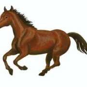 ヒメ日記 2025/05/21 20:30 投稿 りこ 激安ドットコム