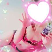 ヒメ日記 2025/06/06 15:19 投稿 りこ 激安ドットコム