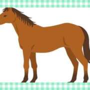 ヒメ日記 2025/06/08 13:56 投稿 りこ 激安ドットコム