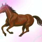 ヒメ日記 2025/06/29 16:14 投稿 りこ 激安ドットコム