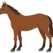 ヒメ日記 2025/08/09 13:28 投稿 りこ 激安ドットコム