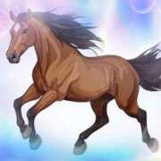 ヒメ日記 2025/11/23 09:14 投稿 りこ 激安ドットコム