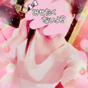 ヒメ日記 2025/12/04 08:23 投稿 りこ 激安ドットコム