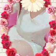 ヒメ日記 2026/02/01 16:01 投稿 りこ 激安ドットコム