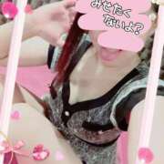 ヒメ日記 2026/02/04 07:52 投稿 りこ 激安ドットコム