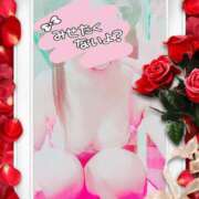 ヒメ日記 2026/02/24 14:04 投稿 りこ 激安ドットコム