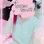 りこ おはよう 激安ドットコム