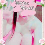 ヒメ日記 2026/03/11 07:23 投稿 りこ 激安ドットコム