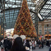 ヒメ日記 2025/11/23 08:18 投稿 まゆ クラブハート