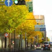 ヒメ日記 2025/12/18 21:36 投稿 なな 川崎・東横人妻城