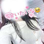 ヒメ日記 2026/02/25 06:52 投稿 なな 川崎・東横人妻城