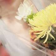 ヒメ日記 2025/09/09 21:17 投稿 かなの 深海魚