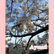 ヒメ日記 2024/04/11 16:44 投稿 あゆみ New Sky