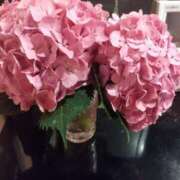 ヒメ日記 2025/06/17 09:04 投稿 ゆかこ 即アポ奥さん ～津・松阪店～