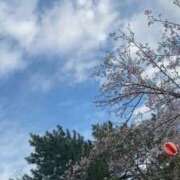 にいな いったー 人妻の雫 倉敷店