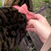 ヒメ日記 2025/02/02 18:16 投稿 あやね 人妻の雫 倉敷店