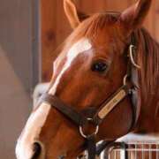 ヒメ日記 2025/02/16 21:16 投稿 あやね 人妻の雫 倉敷店