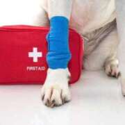 ヒメ日記 2025/07/27 21:36 投稿 あやね 人妻の雫 倉敷店