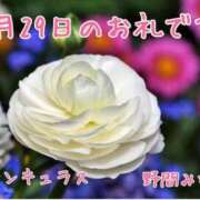 ヒメ日記 2025/01/29 17:06 投稿 野間 みなこ 人妻の雫 倉敷店