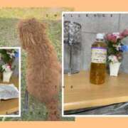 ヒメ日記 2025/05/07 22:56 投稿 みよ 人妻の雫 倉敷店