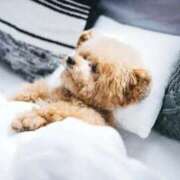 ヒメ日記 2025/04/08 21:06 投稿 ななみ 熟女の風俗アウトレット大垣安八羽島店