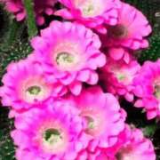 ヒメ日記 2026/02/27 17:36 投稿 森下 莉華 人妻の雫 倉敷店